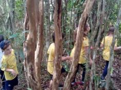 Grupos Alegria, Natureza e Pequenos Cientistas exploram o Espaço Verde