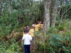 Grupos Alegria, Natureza e Pequenos Cientistas exploram o Espaço Verde