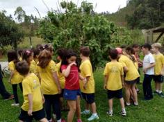 Grupos Alegria, Natureza e Pequenos Cientistas exploram o Espaço Verde