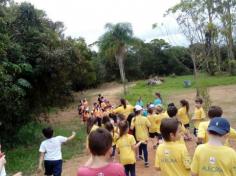 Grupos Alegria, Natureza e Pequenos Cientistas exploram o Espaço Verde