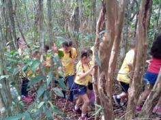 Grupos Alegria, Natureza e Pequenos Cientistas exploram o Espaço Verde