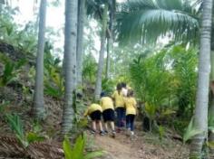 Grupos Alegria, Natureza e Pequenos Cientistas exploram o Espaço Verde