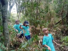 Grupos Alegria, Natureza e Pequenos Cientistas exploram o Espaço Verde