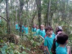 Grupos Alegria, Natureza e Pequenos Cientistas exploram o Espaço Verde