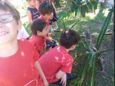 Grupo Estrela explorando o Espaço Verde