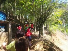 Grupo Estrela explorando o Espaço Verde