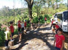 Grupo Estrela explorando o Espaço Verde