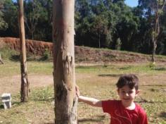 Grupo Estrela explorando o Espaço Verde