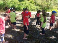 Grupo Estrela explorando o Espaço Verde