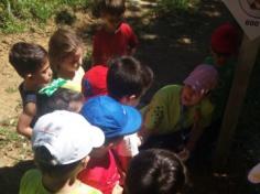 Grupo Estrela explorando o Espaço Verde