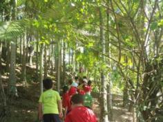 Grupo Estrela explorando o Espaço Verde