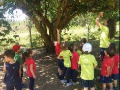 Grupo Estrela explorando o Espaço Verde