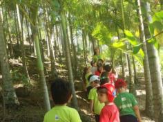 Grupo Estrela explorando o Espaço Verde