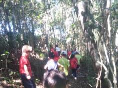 Grupo Estrela explorando o Espaço Verde