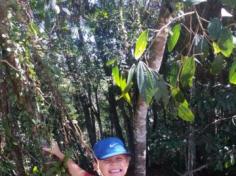 Grupo Estrela explorando o Espaço Verde