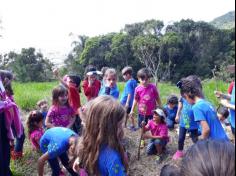 Grupo Felinos e Oceano brincam no Espaço Verde