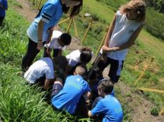 Grupo Mentes Iluminadas aprende e se diverte no espaço verde