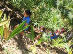 Grupo Mentes Iluminadas aprende e se diverte no espaço verde