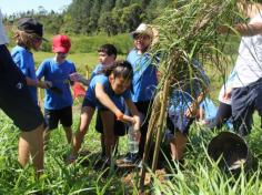 Grupo Mentes Iluminadas aprende e se diverte no espaço verde