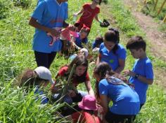 Grupo Mentes Iluminadas aprende e se diverte no espaço verde