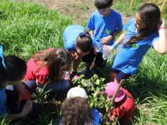 Grupo Mentes Iluminadas aprende e se diverte no espaço verde