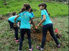 3º ano D plantando no Espaço Verde