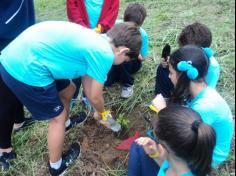 3º ano D plantando no Espaço Verde