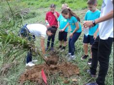 3º ano D plantando no Espaço Verde