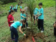 3º ano D plantando no Espaço Verde