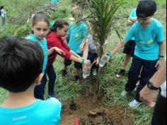 3º ano D plantando no Espaço Verde