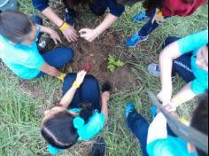 3º ano D plantando no Espaço Verde