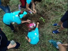 3º ano D plantando no Espaço Verde