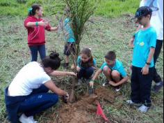 3º ano D plantando no Espaço Verde