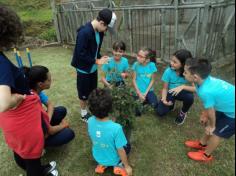 3º ano D plantando no Espaço Verde