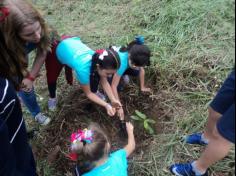 3º ano D plantando no Espaço Verde