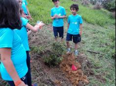 3º ano D plantando no Espaço Verde