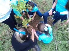 3º ano D plantando no Espaço Verde