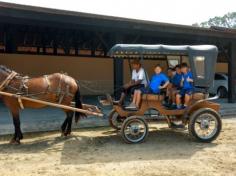 2º ano C em: vida na fazenda