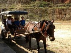 2º ano C em: vida na fazenda