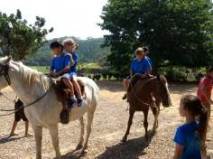 2º ano C em: vida na fazenda