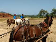 2º ano C em: vida na fazenda