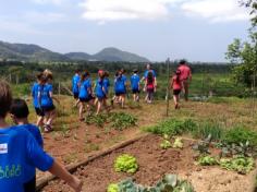 2º ano C em: vida na fazenda