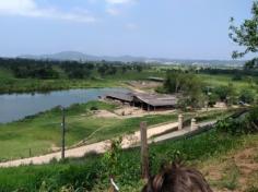 2º ano C em: vida na fazenda