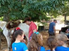 2º ano C em: vida na fazenda