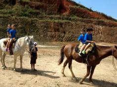 2º ano C em: vida na fazenda