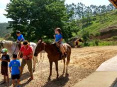 2º ano C em: vida na fazenda