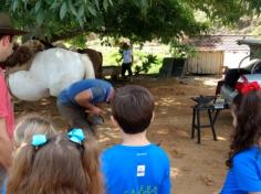 2º ano C em: vida na fazenda