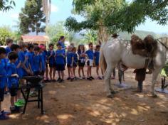 2º ano C em: vida na fazenda