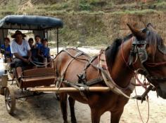 2º ano C em: vida na fazenda