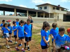 2º ano C em: vida na fazenda